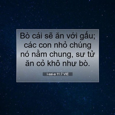 Picture 07 - I-sai-a 11:7 VIE - Bò cái sẽ ăn với gấu; các con nhỏ - Bible Verse Picture