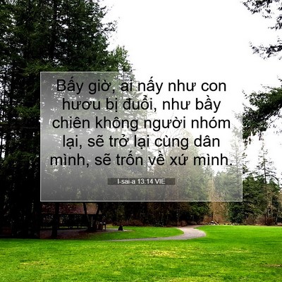 Picture 07 - I-sai-a 13:14 VIE - Bấy giờ, ai nấy như con hươu bị - Bible Verse Picture