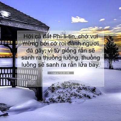 Picture 07 - I-sai-a 14:29 VIE - Hỡi cả đất Phi-li-tin, chớ vui mừng - Bible Verse Picture
