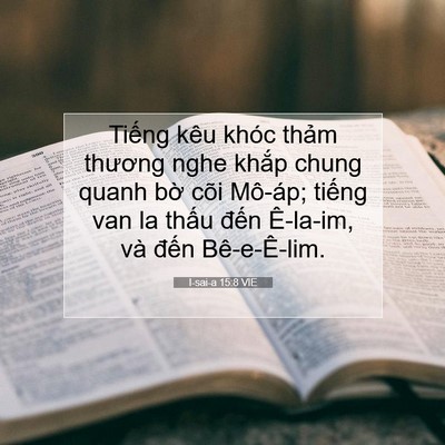 Picture 07 - I-sai-a 15:8 VIE - Tiếng kêu khóc thảm thương nghe khắp - Bible Verse Picture