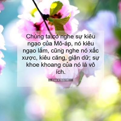 Picture 07 - I-sai-a 16:6 VIE - Chúng ta có nghe sự kiêu ngạo của - Bible Verse Picture
