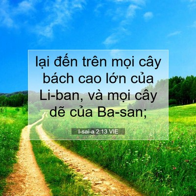 Picture 07 - I-sai-a 2:13 VIE - lại đến trên mọi cây bách cao lớn - Bible Verse Picture