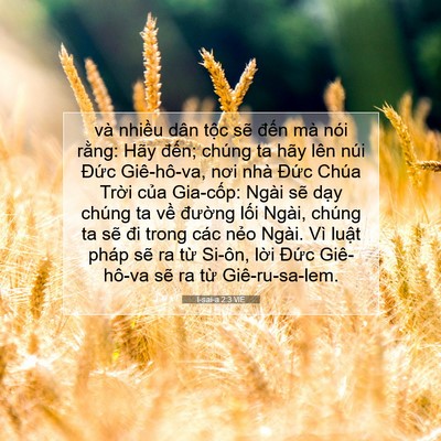Picture 07 - I-sai-a 2:3 VIE - và nhiều dân tộc sẽ đến mà nói - Bible Verse Picture