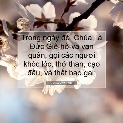 Picture 07 - I-sai-a 22:12 VIE - Trong ngày đó, Chúa, là Đức Giê-hô-va - Bible Verse Picture