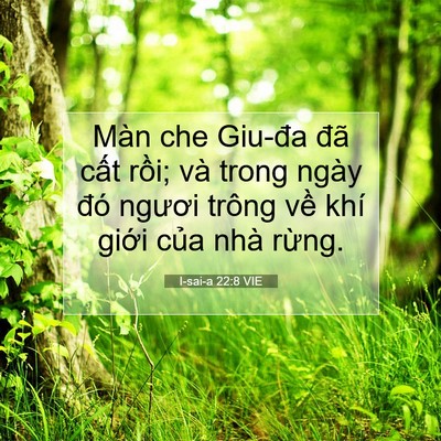 Picture 07 - I-sai-a 22:8 VIE - Màn che Giu-đa đã cất rồi; và trong - Bible Verse Picture