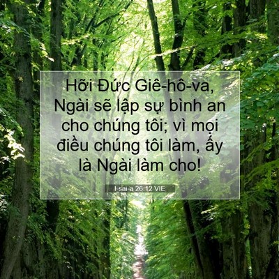 Picture 07 - I-sai-a 26:12 VIE - Hỡi Đức Giê-hô-va, Ngài sẽ lập sự - Bible Verse Picture