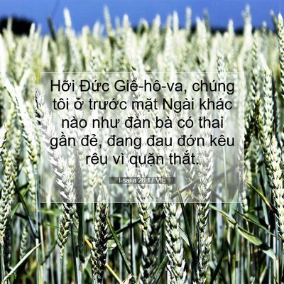Picture 07 - I-sai-a 26:17 VIE - Hỡi Đức Giê-hô-va, chúng tôi ở - Bible Verse Picture