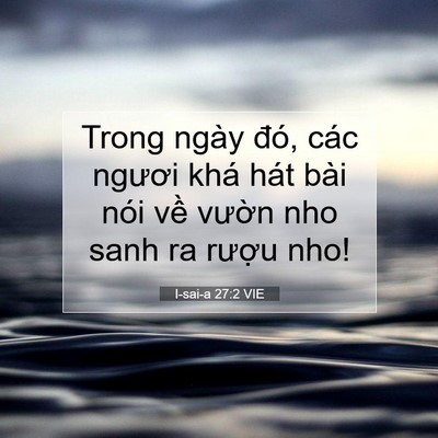 Picture 07 - I-sai-a 27:2 VIE - Trong ngày đó, các ngươi khá hát bài - Bible Verse Picture