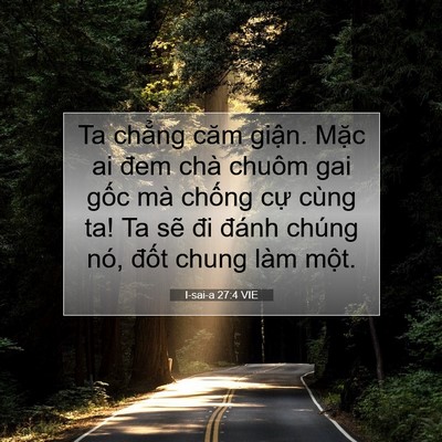 Picture 07 - I-sai-a 27:4 VIE - Ta chẳng căm giận. Mặc ai đem chà chuôm - Bible Verse Picture