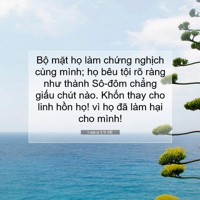 Picture 07 - I-sai-a 3:9 VIE - Bộ mặt họ làm chứng nghịch cùng - Bible Verse Picture