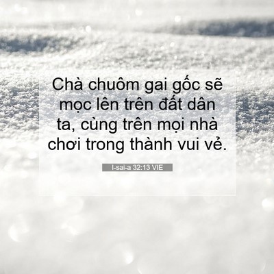 Picture 07 - I-sai-a 32:13 VIE - Chà chuôm gai gốc sẽ mọc lên trên - Bible Verse Picture