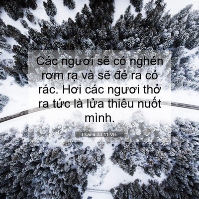 Picture 07 - I-sai-a 33:11 VIE - Các ngươi sẽ có nghén rơm rạ và sẽ - Bible Verse Picture
