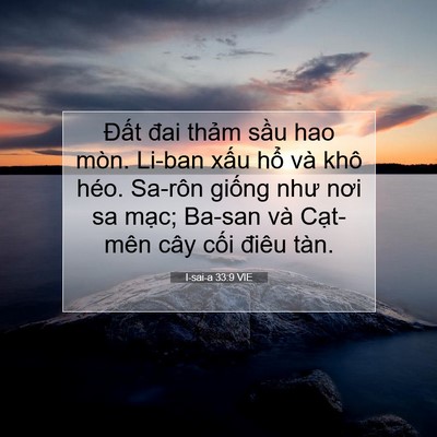 Picture 07 - I-sai-a 33:9 VIE - Đất đai thảm sầu hao mòn. Li-ban xấu - Bible Verse Picture