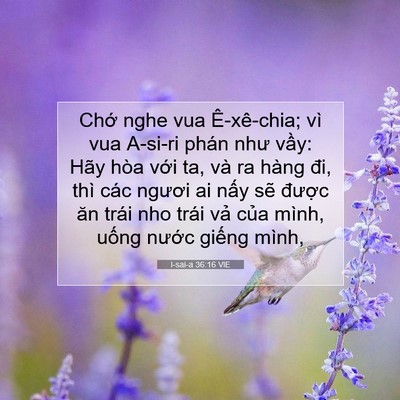 Picture 07 - I-sai-a 36:16 VIE - Chớ nghe vua Ê-xê-chia; vì vua A-si-ri phán - Bible Verse Picture