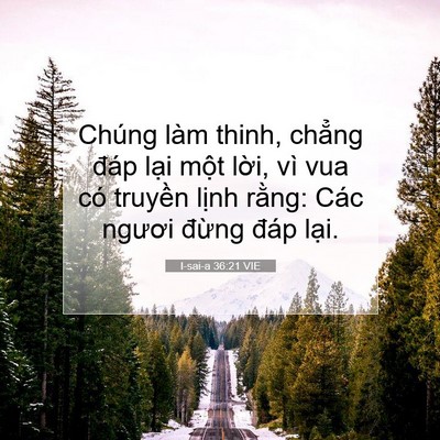 Picture 07 - I-sai-a 36:21 VIE - Chúng làm thinh, chẳng đáp lại một - Bible Verse Picture