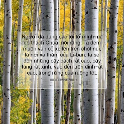 Picture 07 - I-sai-a 37:24 VIE - Ngươi đã dùng các tôi tớ mình mà đố - Bible Verse Picture