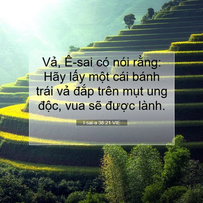 Picture 07 - I-sai-a 38:21 VIE - Vả, Ê-sai có nói rằng: Hãy lấy một - Bible Verse Picture