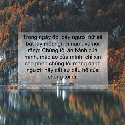 Picture 07 - I-sai-a 4:1 VIE - Trong ngày đó, bảy người nữ sẽ bắt - Bible Verse Picture