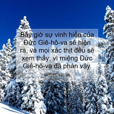 Picture 07 - I-sai-a 40:5 VIE - Bấy giờ sự vinh hiển của Đức - Bible Verse Picture