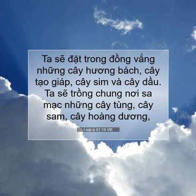 Picture 07 - I-sai-a 41:19 VIE - Ta sẽ đặt trong đồng vắng những cây - Bible Verse Picture