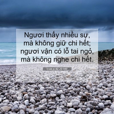 Picture 07 - I-sai-a 42:20 VIE - Ngươi thấy nhiều sự, mà không giữ chi - Bible Verse Picture