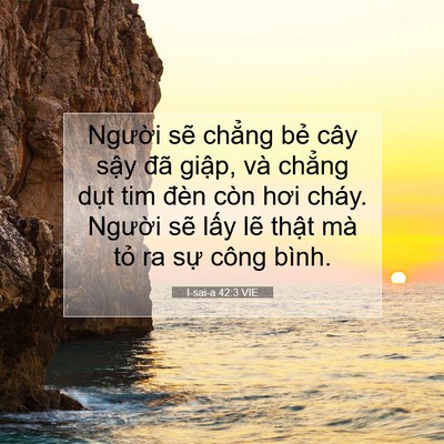 Picture 07 - I-sai-a 42:3 VIE - Người sẽ chẳng bẻ cây sậy đã - Bible Verse Picture
