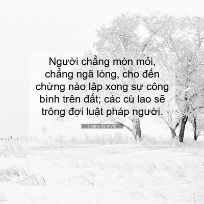 Picture 07 - I-sai-a 42:4 VIE - Người chẳng mòn mỏi, chẳng ngã lòng, - Bible Verse Picture