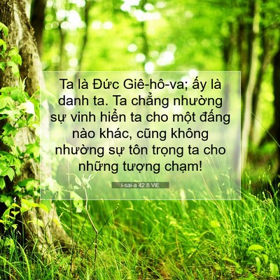 Picture 07 - I-sai-a 42:8 VIE - Ta là Đức Giê-hô-va; ấy là danh ta. Ta - Bible Verse Picture