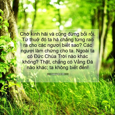 Picture 07 - I-sai-a 44:8 VIE - Chớ kinh hãi và cũng đừng bối rối. - Bible Verse Picture
