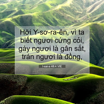Picture 07 - I-sai-a 48:4 VIE - Hỡi Y-sơ-ra-ên, vì ta biết ngươi cứng - Bible Verse Picture