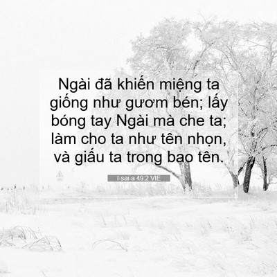 Picture 07 - I-sai-a 49:2 VIE - Ngài đã khiến miệng ta giống như gươm - Bible Verse Picture