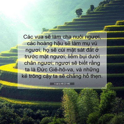 Picture 07 - I-sai-a 49:23 VIE - Các vua sẽ làm cha nuôi ngươi, các hoàng - Bible Verse Picture