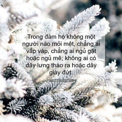 Picture 07 - I-sai-a 5:27 VIE - Trong đám họ không một người nào mỏi - Bible Verse Picture