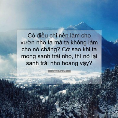 Picture 07 - I-sai-a 5:4 VIE - Có điều chi nên làm cho vườn nho ta mà - Bible Verse Picture