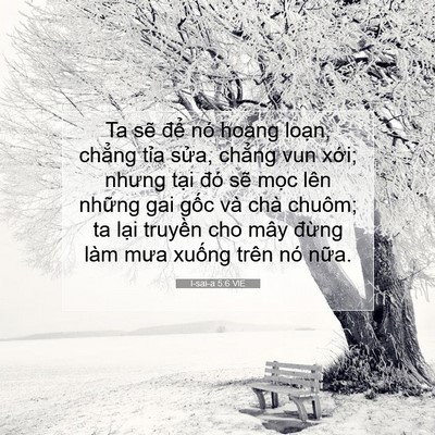 Picture 07 - I-sai-a 5:6 VIE - Ta sẽ để nó hoang loạn, chẳng tỉa - Bible Verse Picture