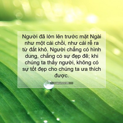 Picture 07 - I-sai-a 53:2 VIE - Người đã lớn lên trước mặt Ngài - Bible Verse Picture