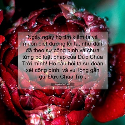 Picture 07 - I-sai-a 58:2 VIE - Ngày ngày họ tìm kiếm ta và muốn biết - Bible Verse Picture