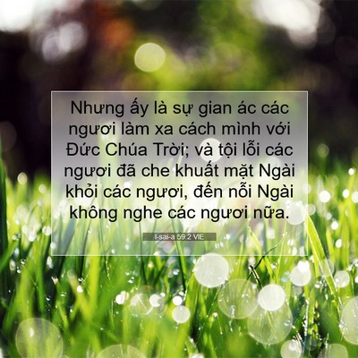 Picture 07 - I-sai-a 59:2 VIE - Nhưng ấy là sự gian ác các ngươi làm - Bible Verse Picture