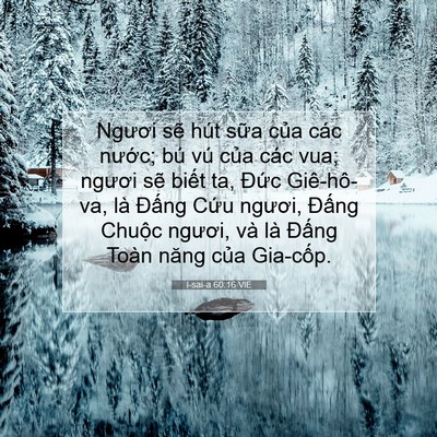 Picture 07 - I-sai-a 60:16 VIE - Ngươi sẽ hút sữa của các nước; bú - Bible Verse Picture