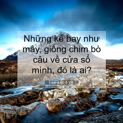 Picture 07 - I-sai-a 60:8 VIE - Những kẻ bay như mây, giống chim bò câu - Bible Verse Picture