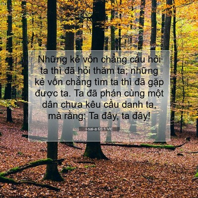 Picture 07 - I-sai-a 65:1 VIE - Những kẻ vốn chẳng cầu hỏi ta thì - Bible Verse Picture