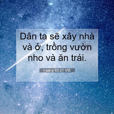 Picture 07 - I-sai-a 65:21 VIE - Dân ta sẽ xây nhà và ở, trồng vườn - Bible Verse Picture