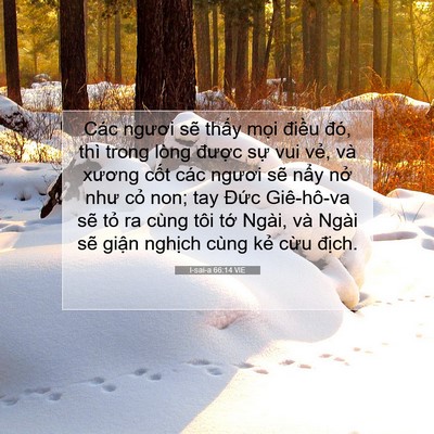 Picture 07 - I-sai-a 66:14 VIE - Các ngươi sẽ thấy mọi điều đó, thì - Bible Verse Picture