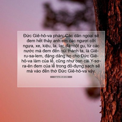 Picture 07 - I-sai-a 66:20 VIE - Đức Giê-hô-va phán: Các dân ngoại sẽ - Bible Verse Picture