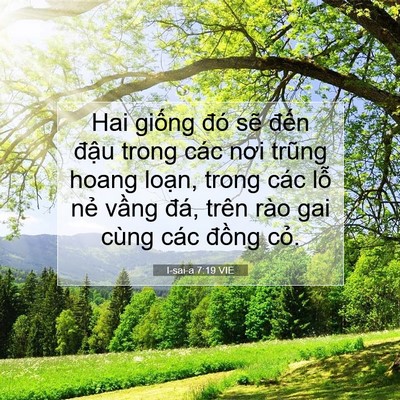 Picture 07 - I-sai-a 7:19 VIE - Hai giống đó sẽ đến đậu trong các - Bible Verse Picture