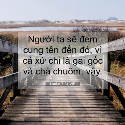 Picture 07 - I-sai-a 7:24 VIE - Người ta sẽ đem cung tên đến đó, vì - Bible Verse Picture