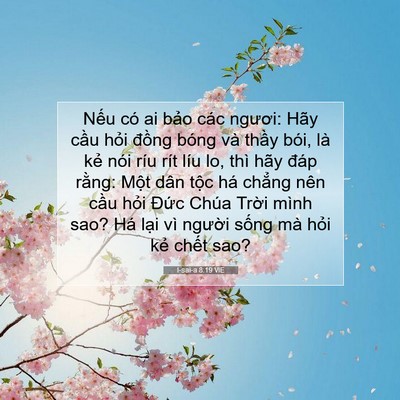 Picture 07 - I-sai-a 8:19 VIE - Nếu có ai bảo các ngươi: Hãy cầu hỏi - Bible Verse Picture
