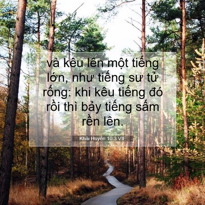 Picture 07 - Khải Huyền 10:3 VIE - và kêu lên một tiếng lớn, như tiếng - Bible Verse Picture