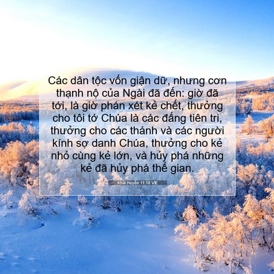 Picture 07 - Khải Huyền 11:18 VIE - Các dân tộc vốn giận dữ, nhưng cơn - Bible Verse Picture