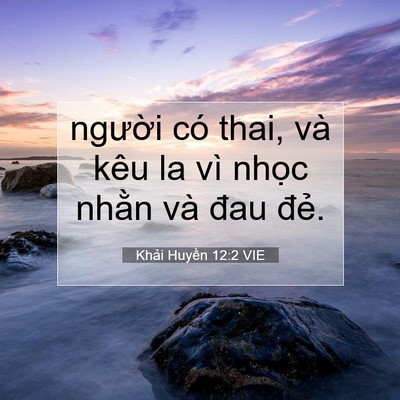 Picture 07 - Khải Huyền 12:2 VIE - người có thai, và kêu la vì nhọc nhằn - Bible Verse Picture